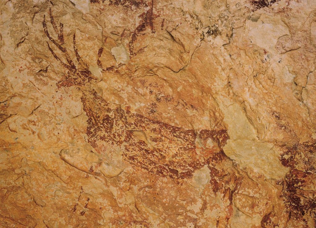 Visita guiada a las Pinturas Rupestres de la Sarga