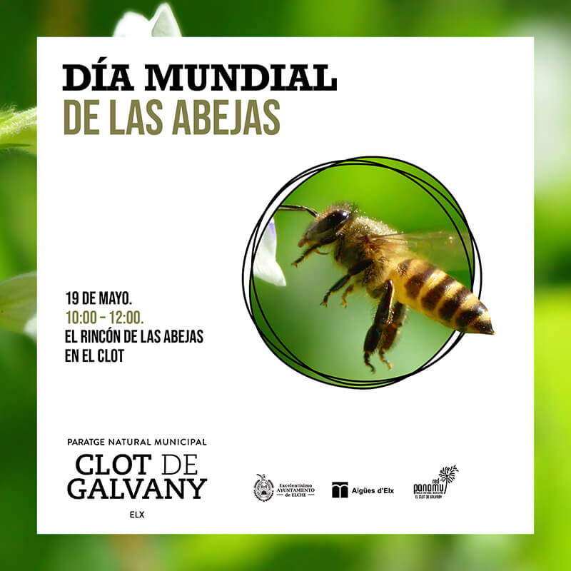 Dia Mundial Abejas Clot Galvany