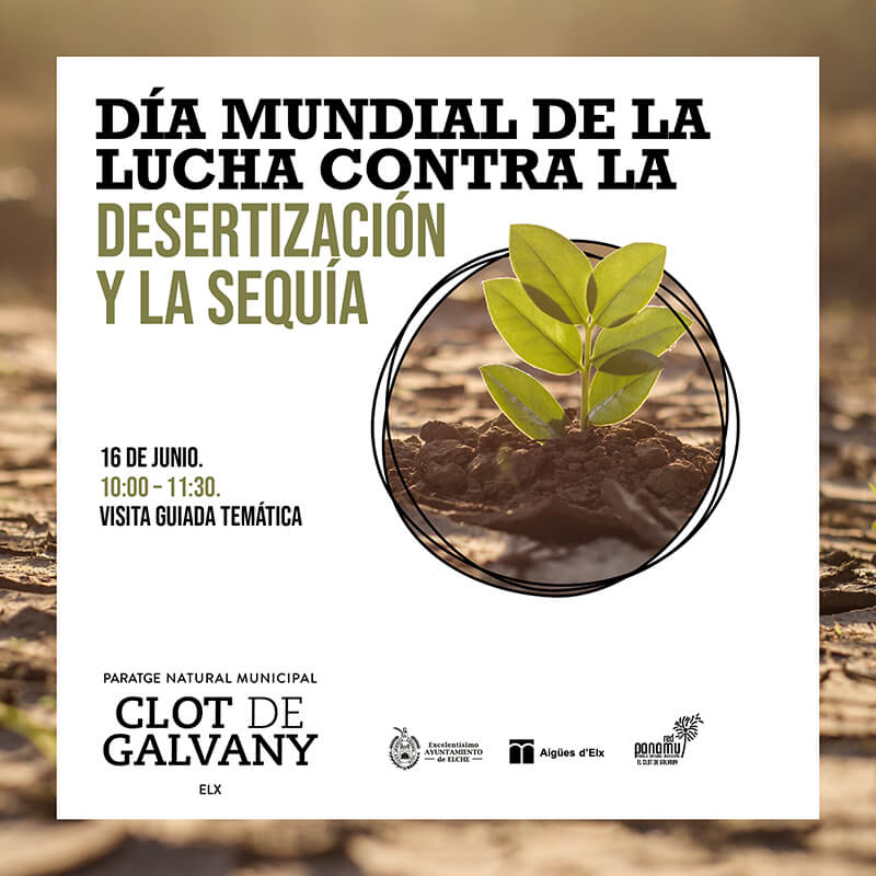 dia mundial contra desertizacion y sequia clot elche