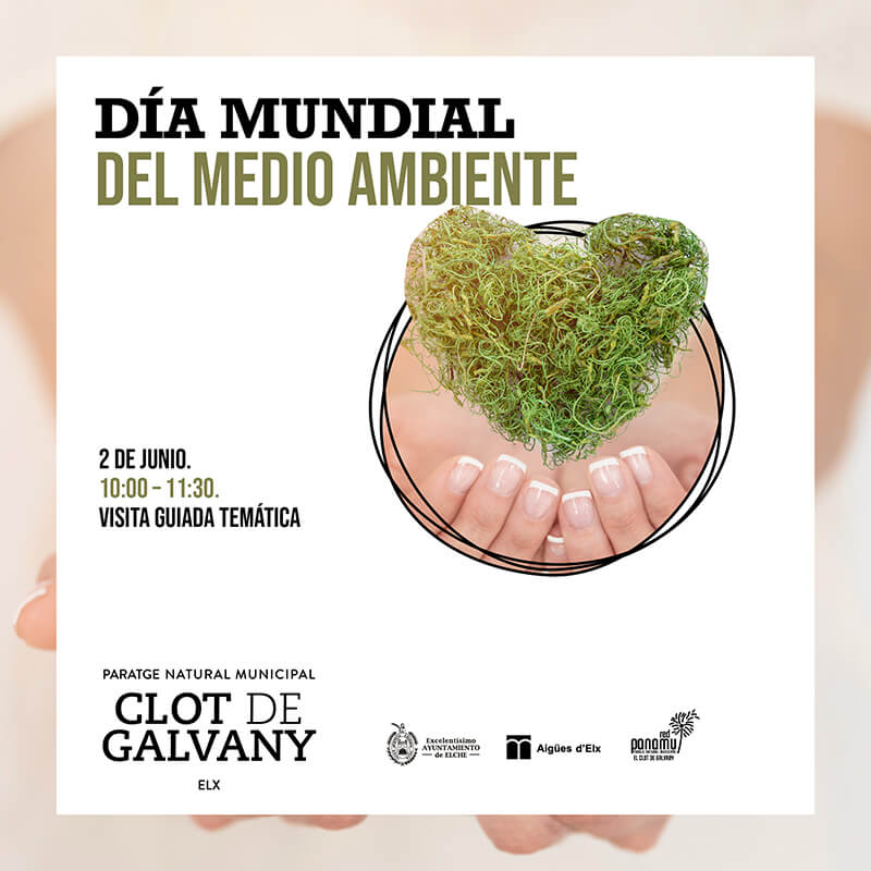dia mundial medio ambiente clot