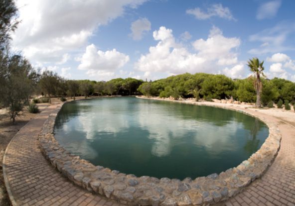 ruta guiada molino del agua torrevieja