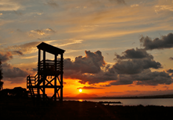 ruta nocturna lagunas de torrevieja la mata