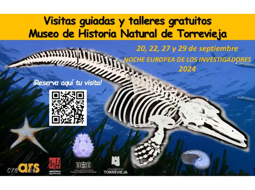 visitas guiadas talleres gratuitos museo historia natural torrevieja