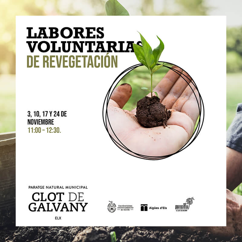labores voluntarias revegetación en el clot de galvany elche