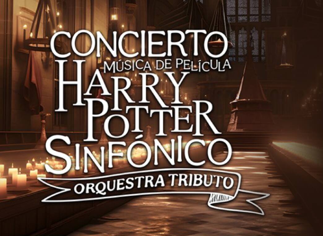 concierto musica de pelicula harry potter