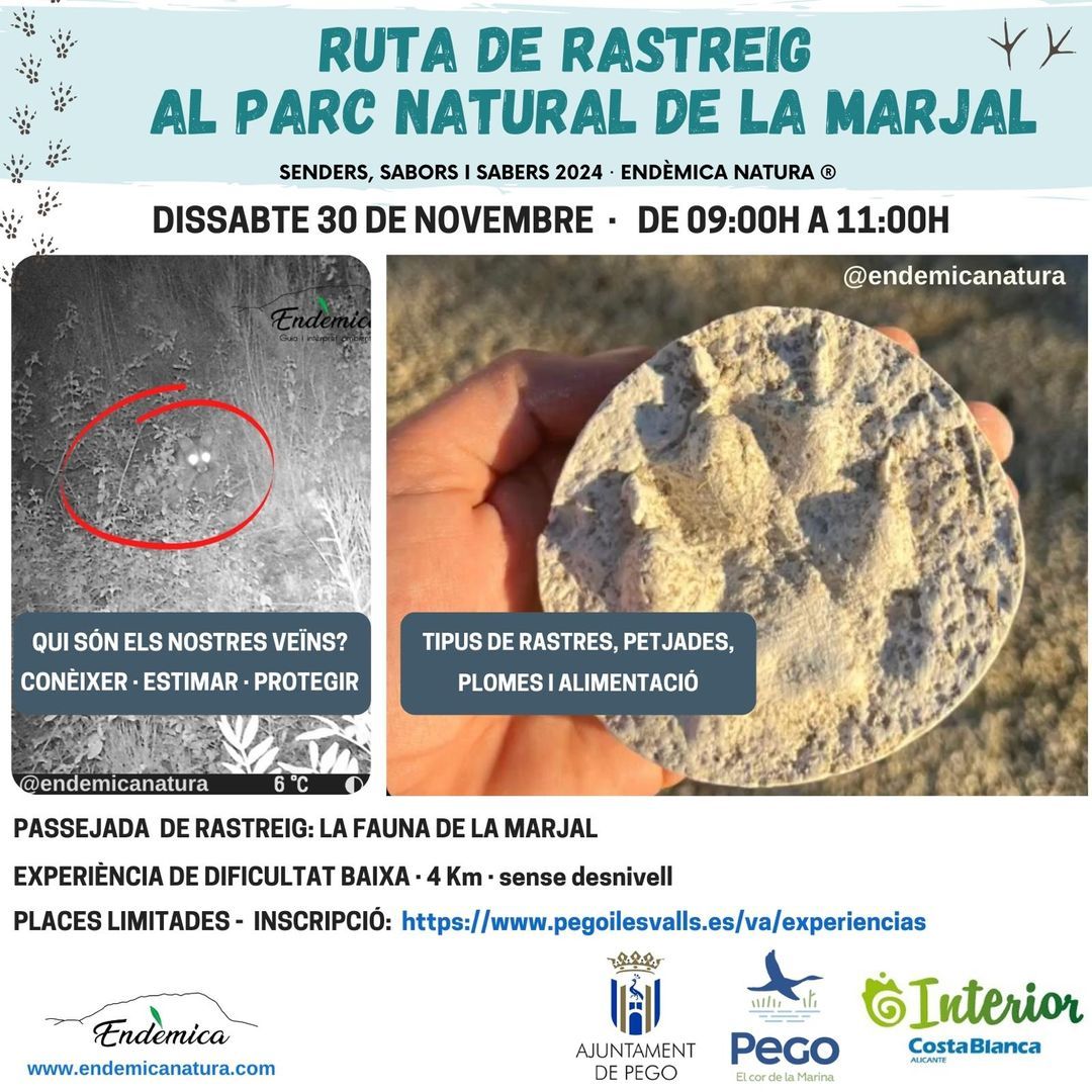 ruta de rastreo parque natural de la marjal pego oliva