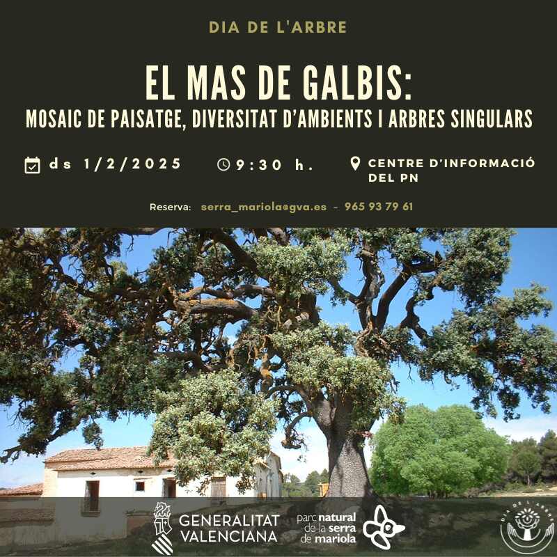 Día del arbol ruta mas de galbis serra mariola