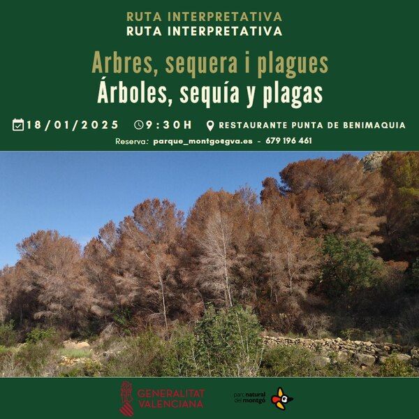 ruta interpretativa el montgo