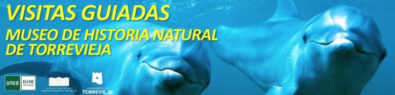 visitas guiadas gratuitas museo historia natural torrevieja