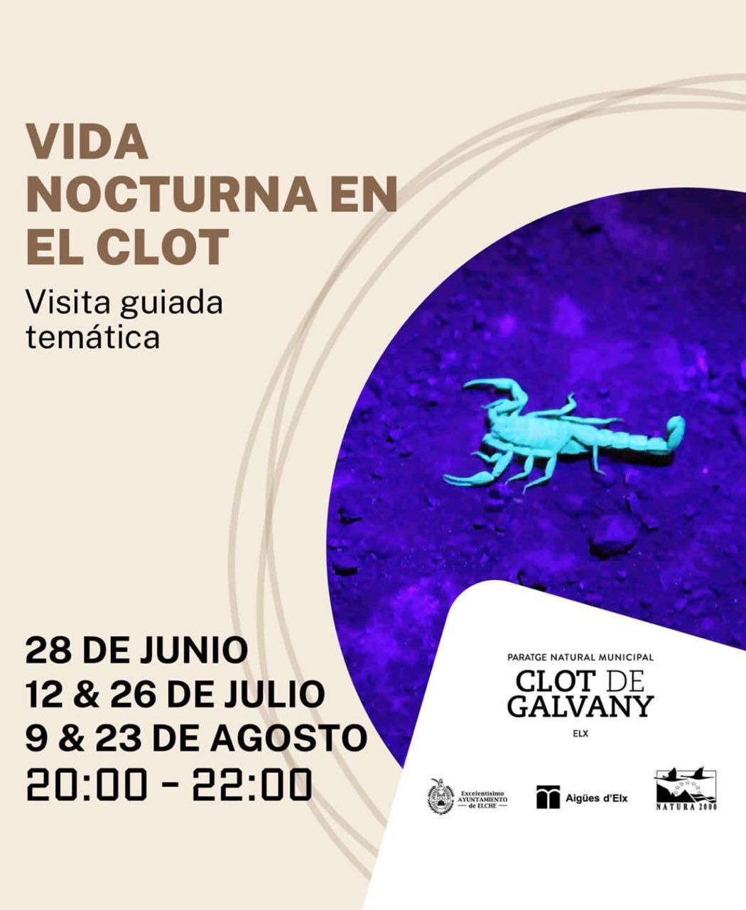 visitas nocturnas guiadas gratuitas clot de galvany
