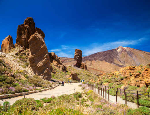 Tenerife con niños Parque Natural Teide