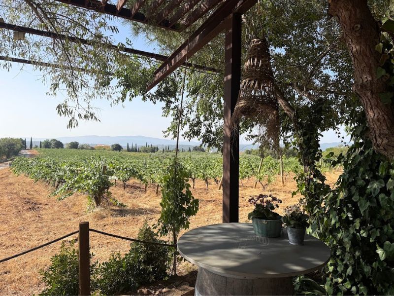 Bodega Barón d'Alba Castelló Ruta de Sabor Turismo Gastronómico Castellón Bodega Baron d'Alba Castelló Ruta de Sabor Turismo Gastronómico Castellón