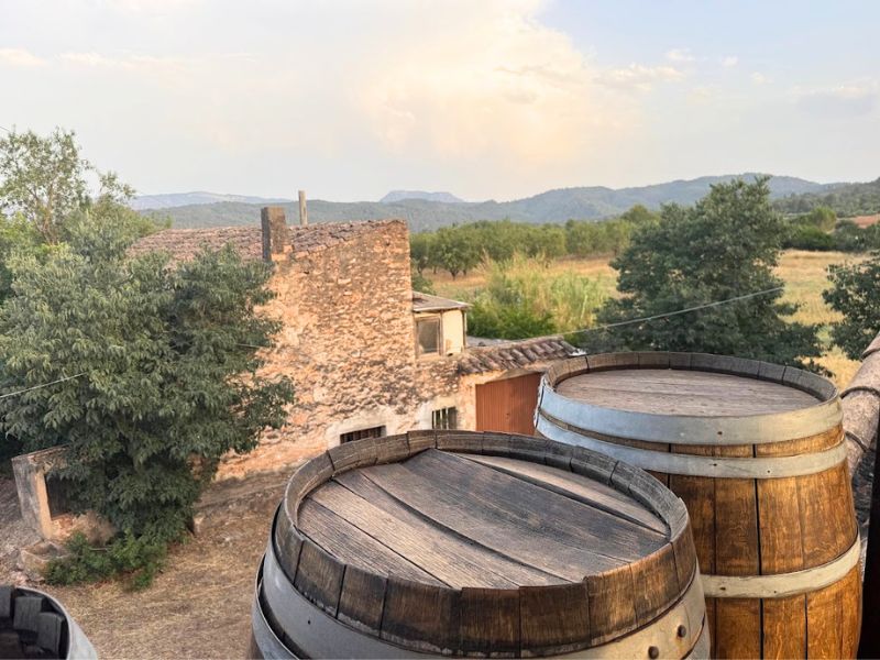 Bodega Flors Castelló Ruta de Sabor Turismo Gastronómico Castellón Bodega Flors Castelló Ruta de Sabor Turismo Gastronómico Castellón