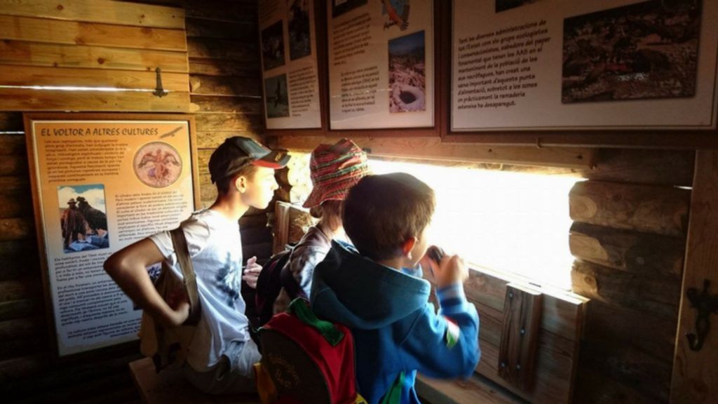 que hacer en alcoy en febrero birdwatching
