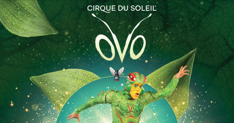 circo del sol ovo planes con niños en enero
