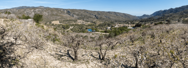 excursiones actividades naturaleza pego i les valls