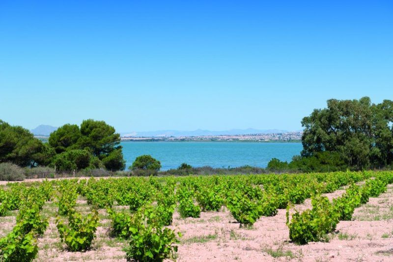 rutas ecoturisticas torrevieja 