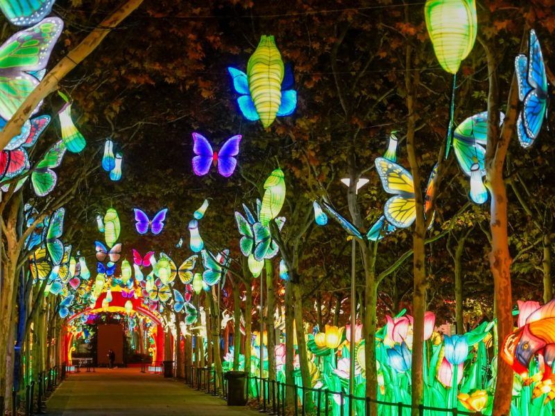Jardin iluminado magicas navidades