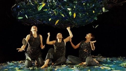 sotobosque teatre arniches enero marzo 2024