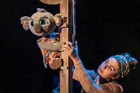 bunji pequeña koala