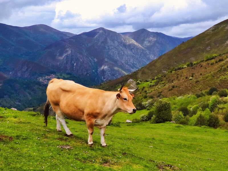Escapadas para el puente de mayo Asturias