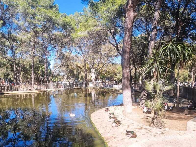 Parque Reina Sofia de Guardamar con niños