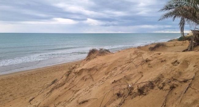Ruta de las Dunas de Guardamar: Descubre este recorrido con niños