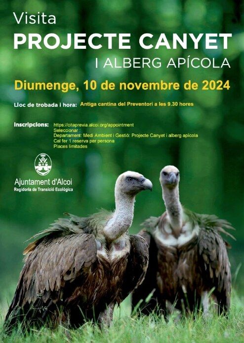 Visita guiada buitrera alcoy projecte canyet