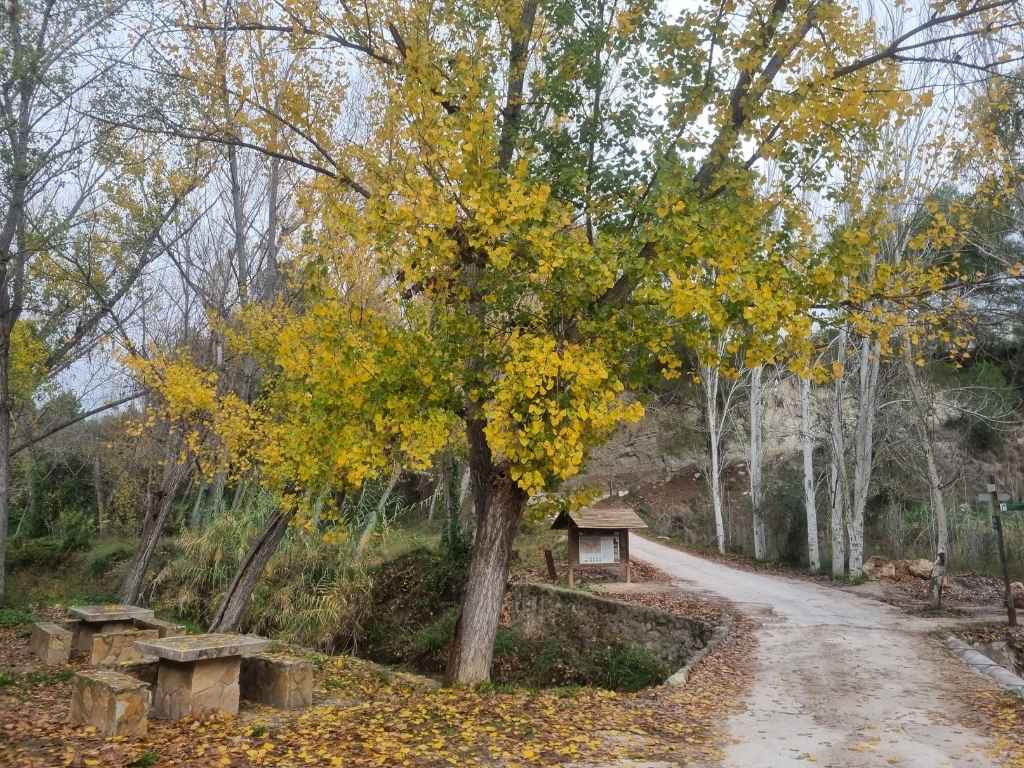 Ruta Font Baladre fontanars 2 Ruta Font Baladre fontanars 2
