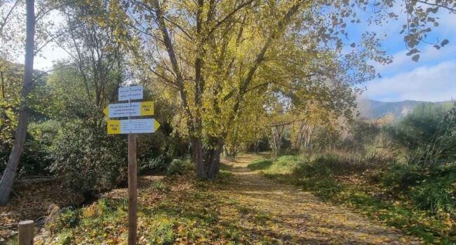 Descubre la Senda Ecológica de la Font de Baladre – Fontanars – Riu d’Agres: Una preciosa ruta otoñal para disfrutar en familia