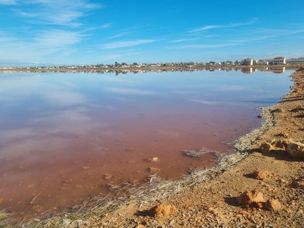 la vega baja en familia 3 laguna rosa salinas torrevieja la vega baja en familia 3 laguna rosa salinas torrevieja