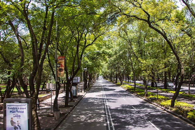 ciudad de mexico con niños cdmx paseo