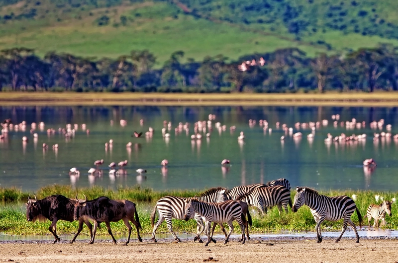 safari en tanzania crater Ngorongoro