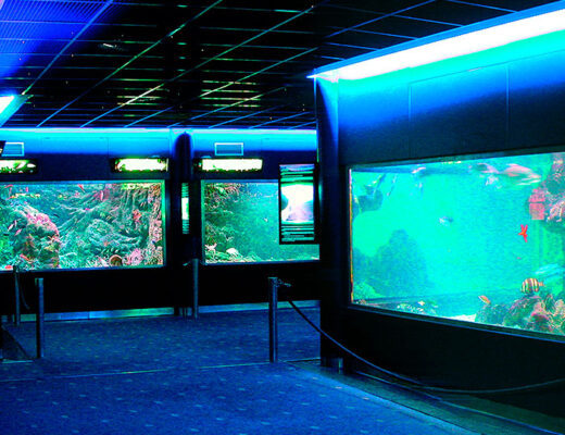 aquarium santa pola