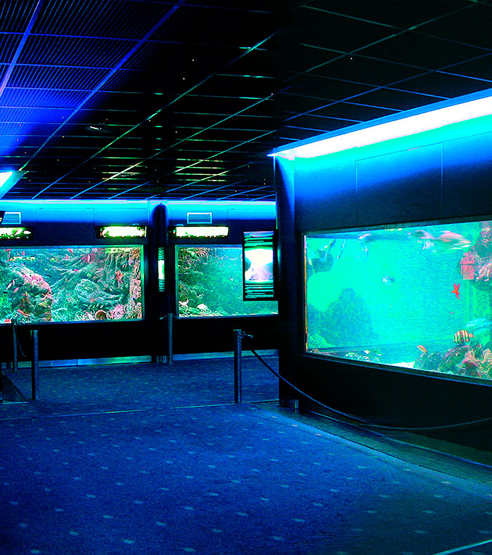 aquarium santa pola