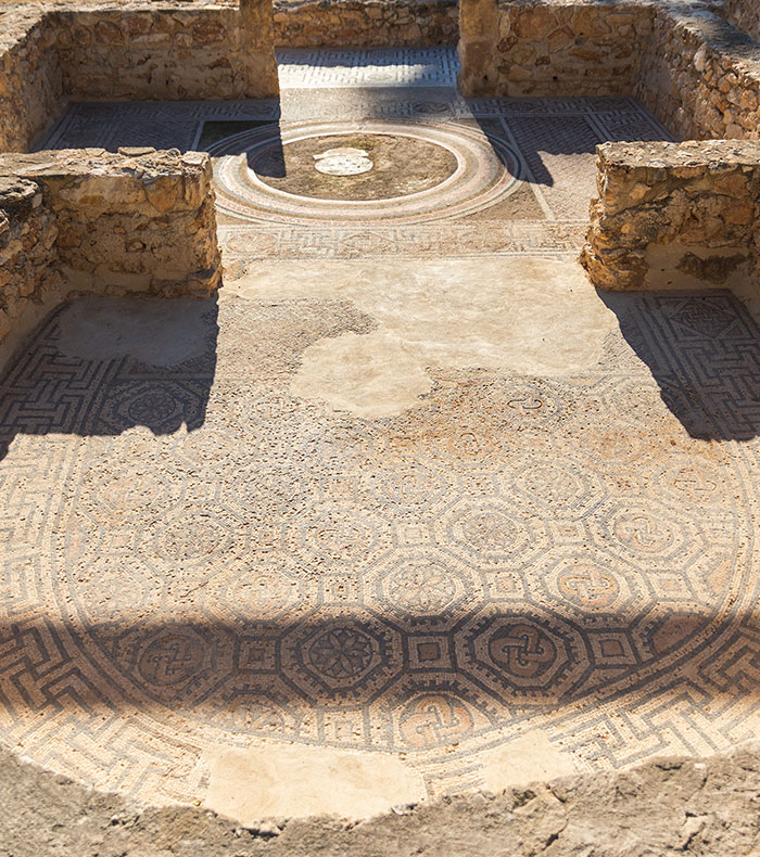 visitas acompañadas portus ilicitanus yacimiento arqueologico casa romana