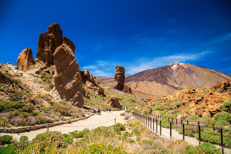 Tenerife con niños Parque Natural Teide